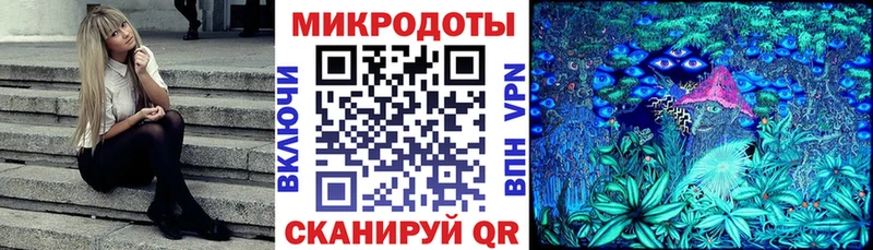 MEGA   Ухта  Галлюциногенные грибы Psilocybine cubensis 